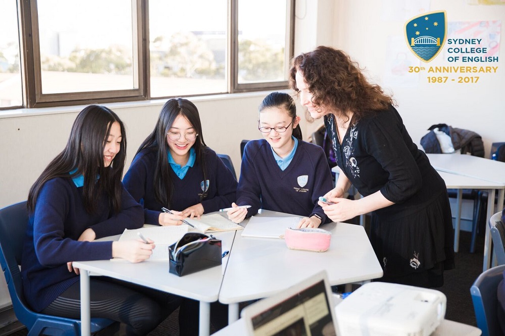 School media preview